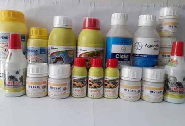 Diệt Mối Nhanh cung cấp nhiều loại thuốc diệt mối được nhập khẩu chính hãng